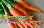 Морковная диета на 7 дней