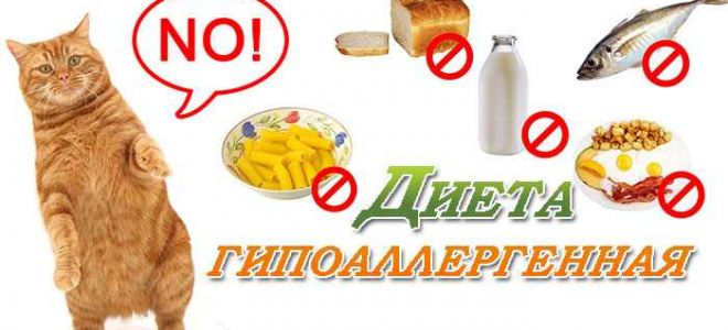 Гипоаллергенная диета для детей и мам