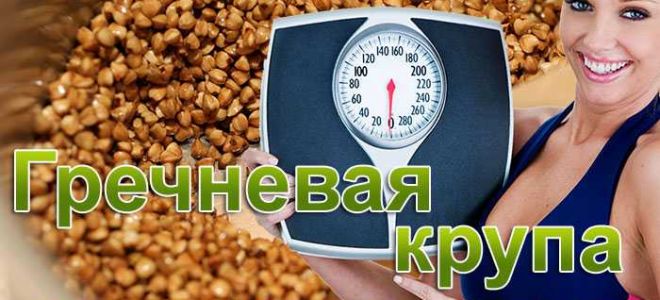 Гречка с кефиром для похудения: отзывы и результаты похудевших