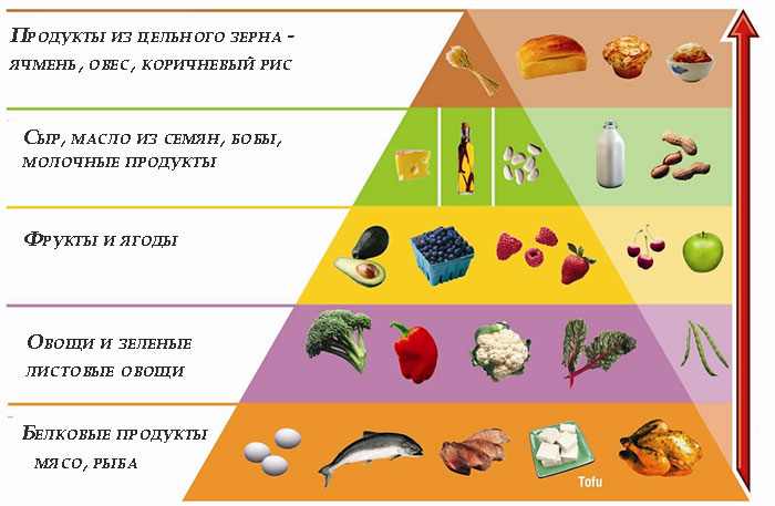 Пирамида питания на диете Аткинса